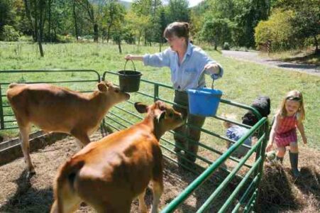Guide to Self-Sufficient Living: Advice From Nine Modern Homesteaders Image